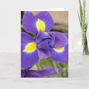 Purple and Yellow Flower - Iris Card