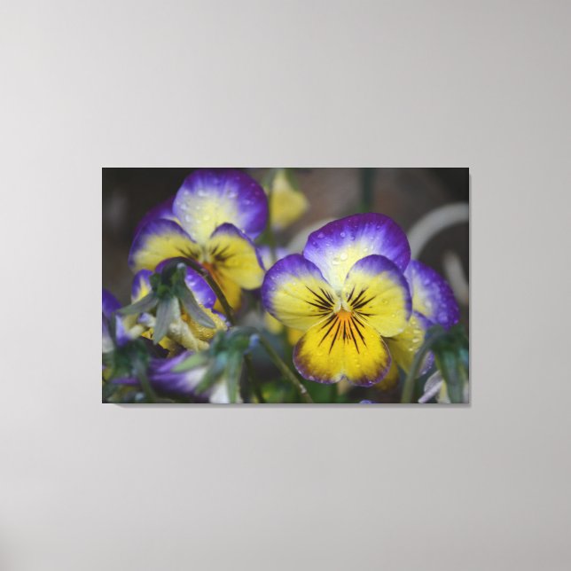 Purple and Yellow Flower Wrapped Canvas (Front)