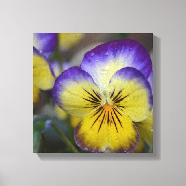 Purple and Yellow Flower Wrapped Canvas (Front)