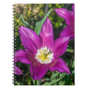 Purple and yellow flowers notebook