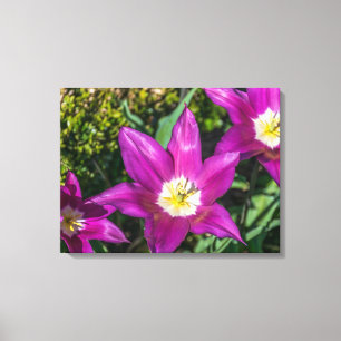 Purple and yellow flowers view canvas print