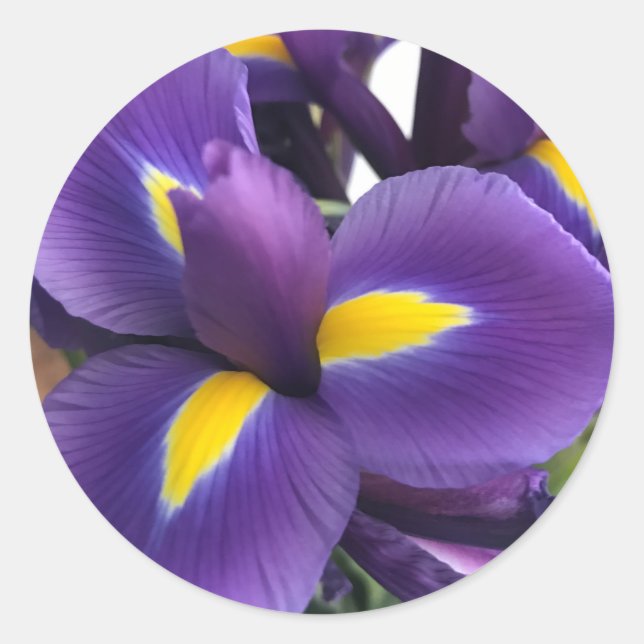 Purple and Yellow Irises Classic Round Sticker (Front)