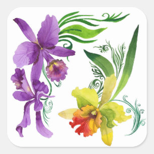 Purple and Yellow Orchid Flowers Watercolour Square Sticker