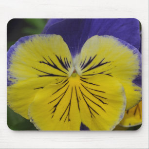 Purple and yellow pansy flower mouse mat