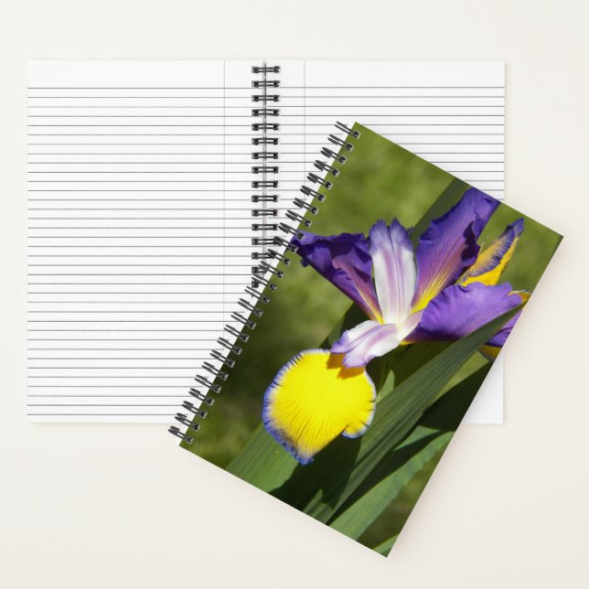 Purple and Yellow Siberian Iris Floral Notebook (Inside)