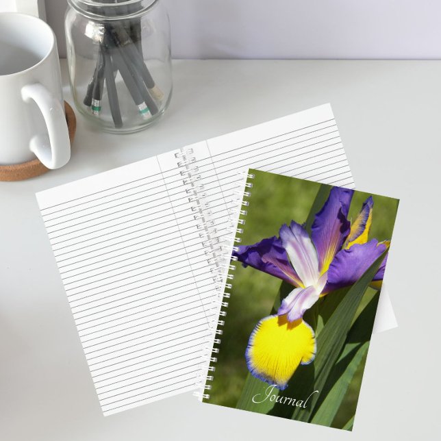 Purple and Yellow Siberian Iris Floral Notebook (In Situ)
