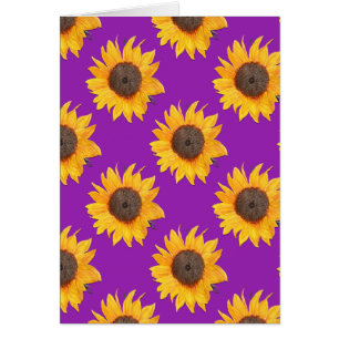 Purple and Yellow Sunflowers