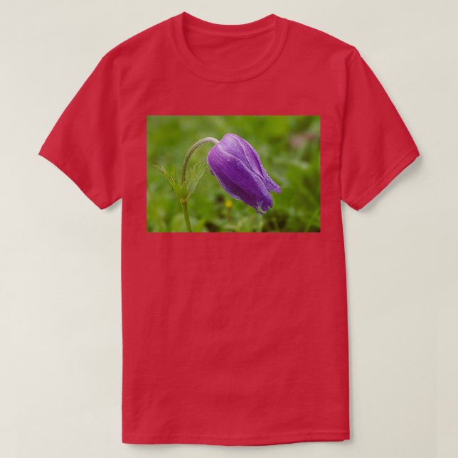 Purple Anemone coronaria growing in their natural  T-Shirt (Design Front)