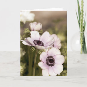 Purple Anemones Note  Card