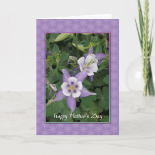 Purple Aquilegia, Columbine Mother's Day Card