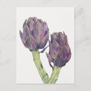 Purple Artichokes Postcard