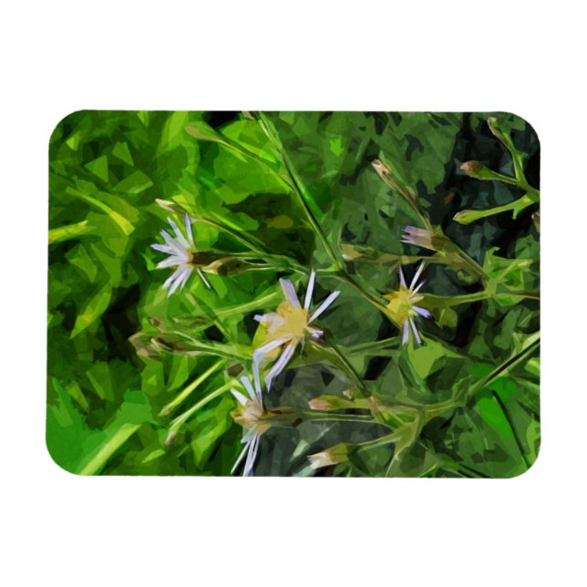 Purple Aster Among Burnt Trees Abstract Magnet (Horizontal)
