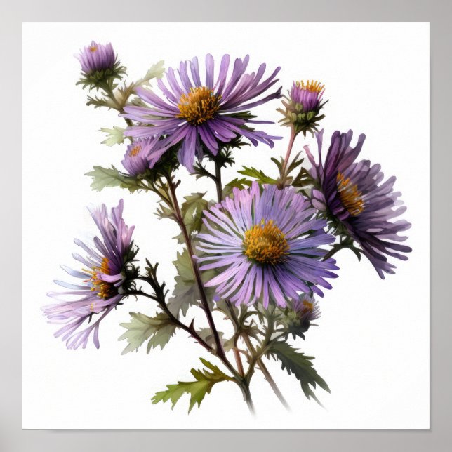 Purple Aster Flower Art Print Poster (Front)