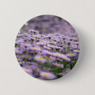 Purple Aster Flowers 6 Cm Round Badge