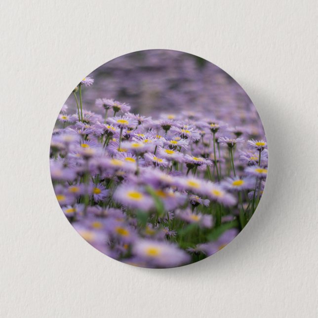 Purple Aster Flowers 6 Cm Round Badge (Front)