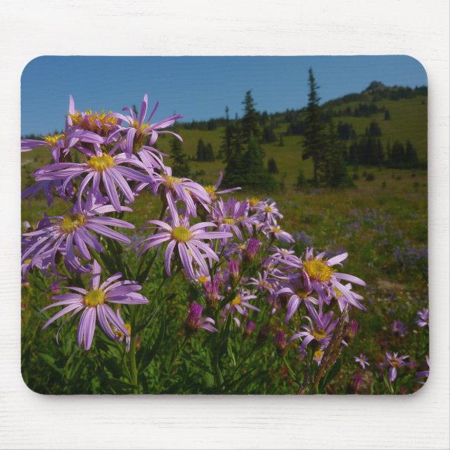 Purple Aster Flowers at Mount Rainier Mouse Mat (Front)