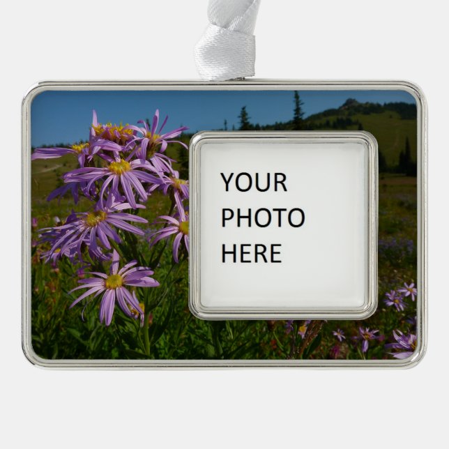 Purple Aster Flowers at Mount Rainier Silver Plated Framed Ornament (Front)