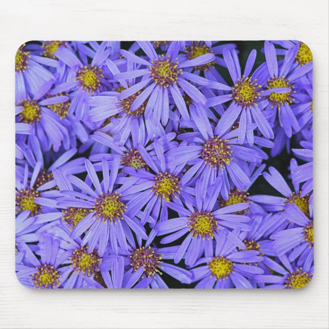 Purple Aster Flowers at RHS Garden Wisley Mouse Mat (Front)