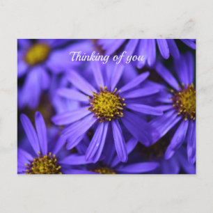 Purple Aster Flowers at RHS Garden Wisley Thinking Postcard
