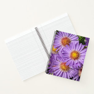 Purple Aster Flowers Floral Notebook