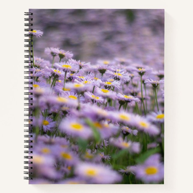 Purple Aster Flowers Notebook (Front)