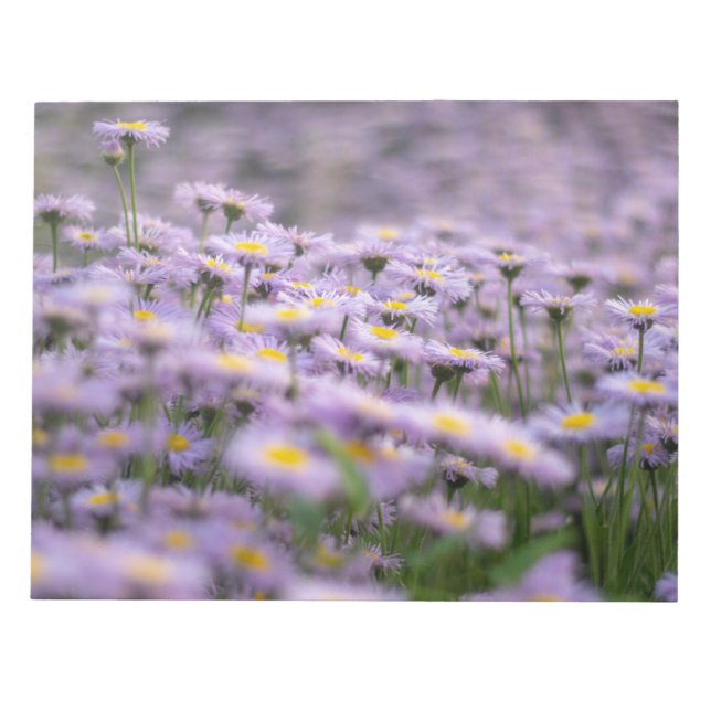 Purple Aster Flowers Notepad (Front)