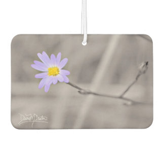 Purple Aster in Selective Colour Car Air Freshener
