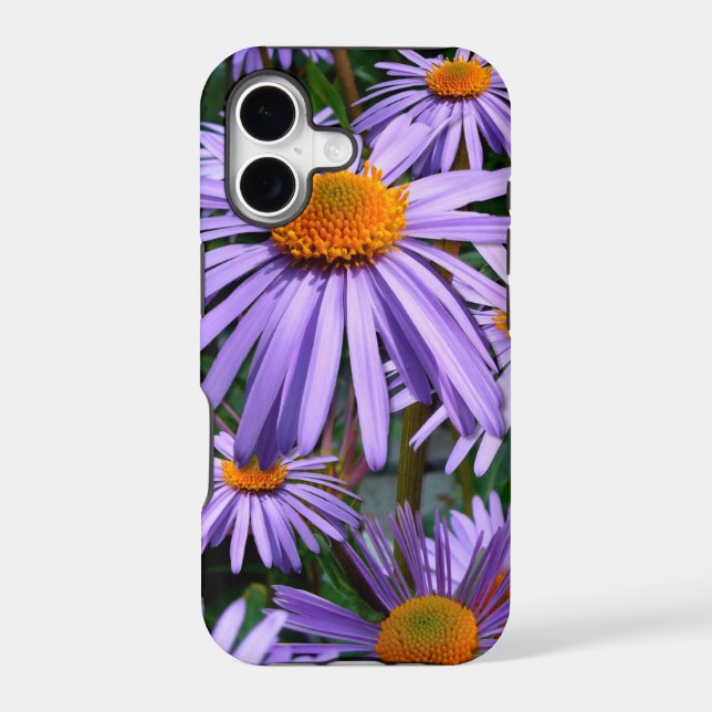 Purple Asters iPhone 5 case (Back)