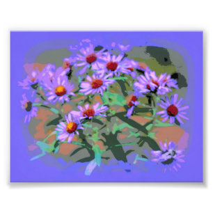 purple asters photo print