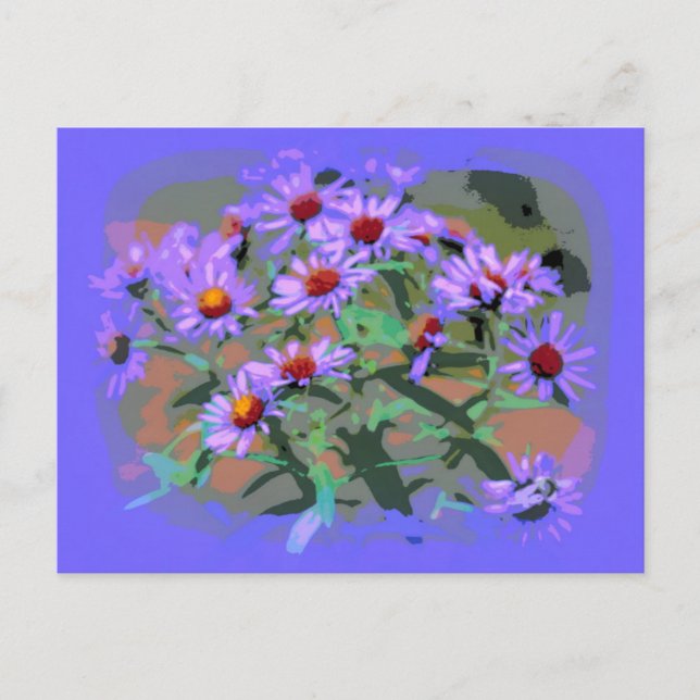 purple asters postcard (Front)