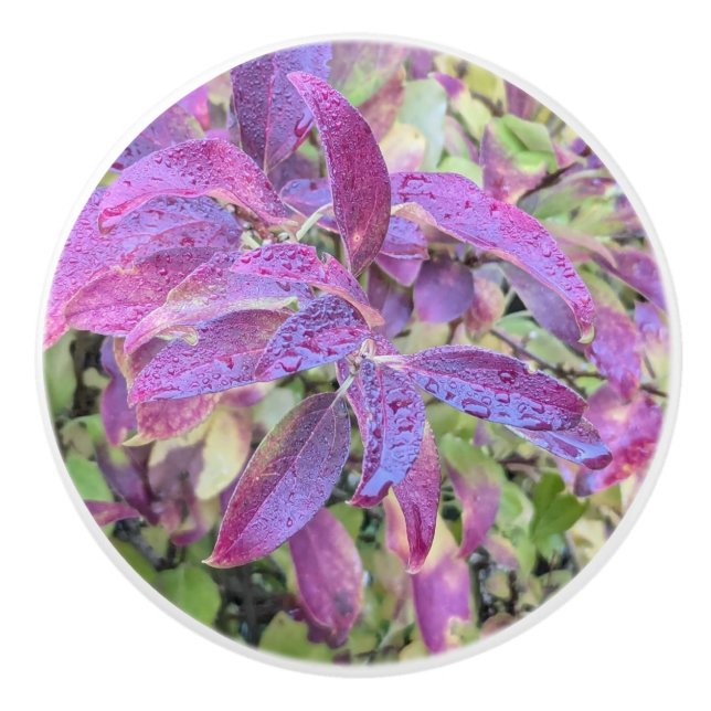 Purple autumn leaves ceramic knob (Front)