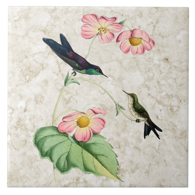 Purple Backed Thornbill Hummingbird Ceramic Tile (Front)