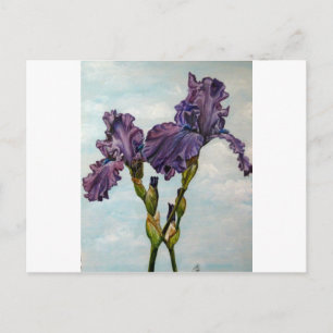 Purple bearded flowers postcard