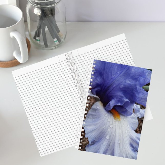 Purple Bearded Iris Floral Notebook (In Situ)