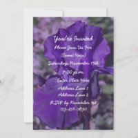 Purple Bearded Iris Flower Party
