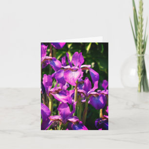 Purple Bearded Iris Flowers Customisable Note Card