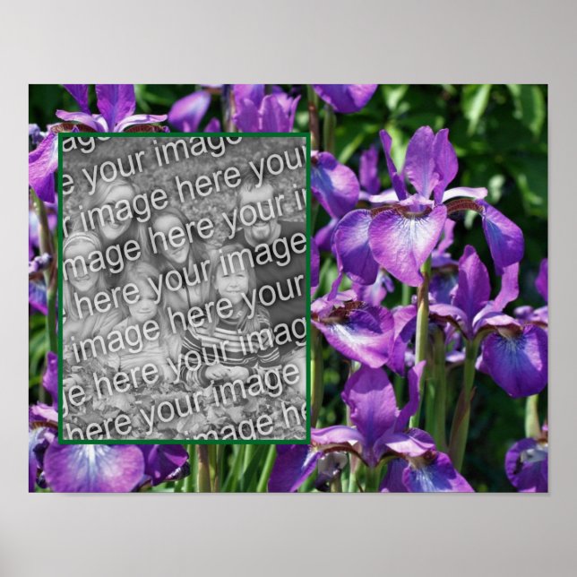 Purple Bearded Iris Flowers Frame Add Your Photo Poster (Front)