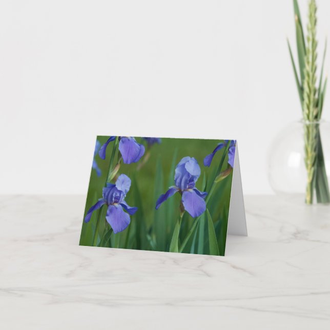 Purple Bearded Iris Folded Thank You Card (Front)