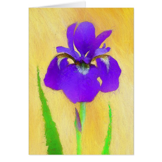 Purple Bearded Iris Painting - Cute Original Dog A (Front)