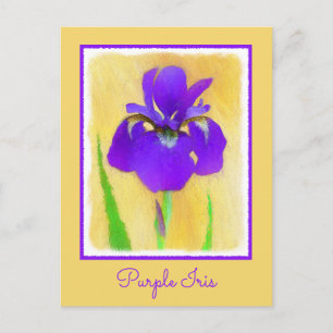 Purple Bearded Iris Painting - Cute Original Dog A Postcard