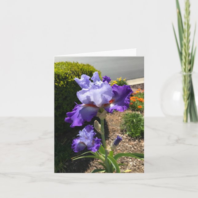 Purple Bearded Iris Personalised Greeting Card (Front)