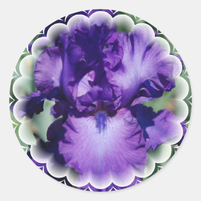 Purple Bearded Iris Sticker (Front)