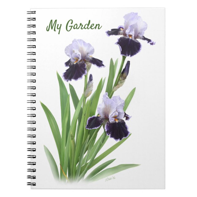 Purple Bearded Iris Trio Personalised  Notebook (Front)