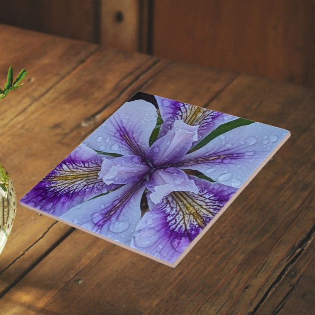  Purple Beardless Iris Floral Tile (In Situ)