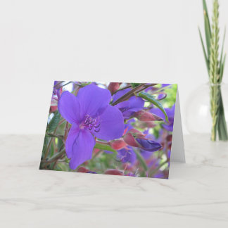 Purple Beauties Card