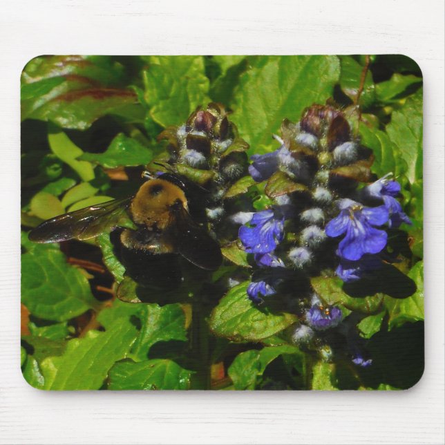 Purple Bee Balm and Bumble Bee Mouse Mat (Front)