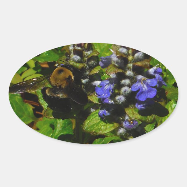 Purple Bee Balm and Bumble Bee Oval Sticker (Front)