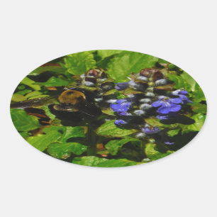 Purple Bee Balm and Bumble Bee Oval Sticker