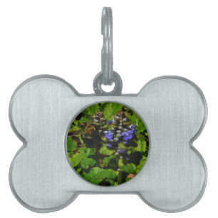 Purple Bee Balm and Bumble Bee Pet ID Tag