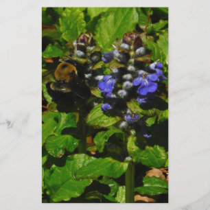 Purple Bee Balm and Bumble Bee Stationery